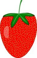 red glossy strawberry, drawing