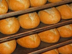 fresh baked bread from the oven