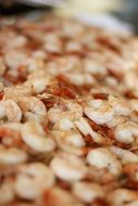 boiled shrimp