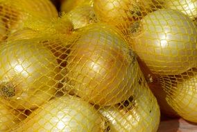 white onions in a yellow grid in the market