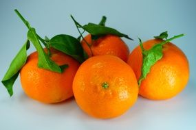 tangerines clementines oranges vitamins delicious fruits