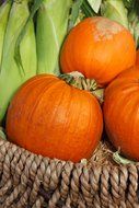 autumn basket pumpkins and corn