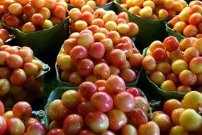 A lot of the yellow cherries