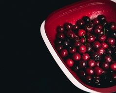 Natural organic fresh red cherries in the red bowl