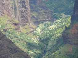 Hawaii Canyon
