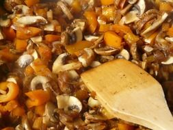 Stew with vegetables and mushrooms