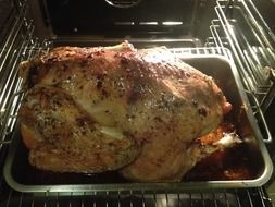 thanksgiving christmas turkey