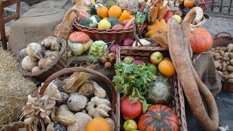 crop of vegetables in wicker baskets