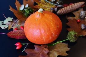 orange pumpkin on the background of autumn decor