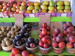 fresh fruits in the farmers market