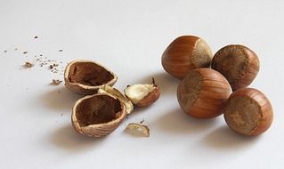 brown hazelnuts and shells