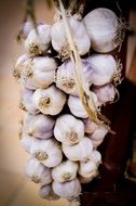 braided garlic