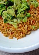 plate with rice and broccoli
