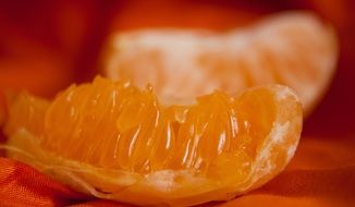 Slice of an orange