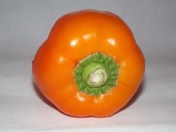 beautiful orange pepper