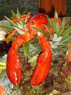 boiled lobster on a platter