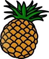 drawing of tropical fresh pineapple fruit