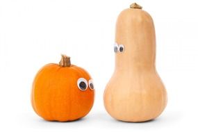 funny pumpkins on a white background