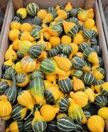 wagon full of striped pumpkins