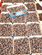 sloes berries on the market