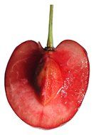 the pulp of the cherry