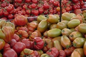 red and green tomatoes on the market