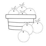 White and black oranges in the basket clipart