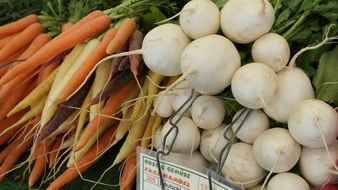 carrots and beets on the market