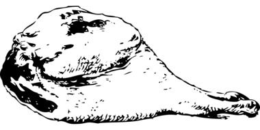 chicken meat leg black and white drawing