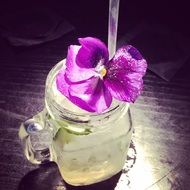 Picture of flower and cocktail