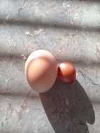 appetizing eggs