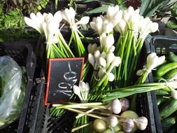 leek, spring onion at market