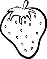 ideal strawberry fruit drawing