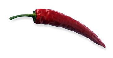 chilli pepper