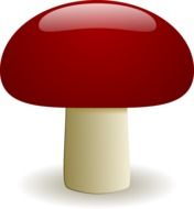 appetizing mushroom drawing