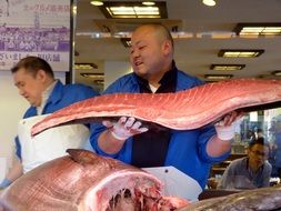 japanese tuna fish