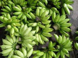 tasty and fresh bananas fruits