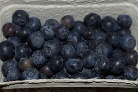 blueberries in a paper box