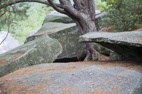 Huge stones in the middle of the forest