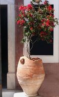 red flower in clay street vase