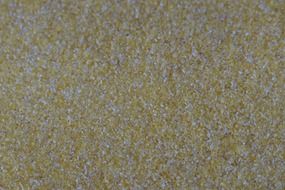 cornmeal closeup