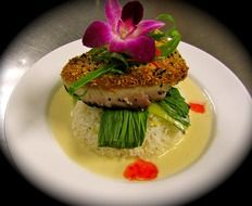 picture of the delecious meal