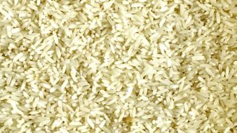 tasty and fresh rice grains