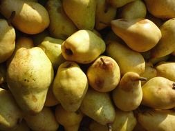 Colorful sweet pear fruits in light