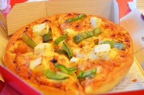 small pizza with cheese for lunch in a box