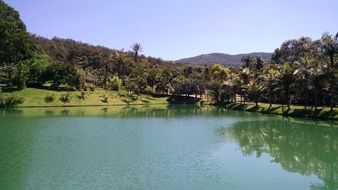 nature near the pond in Brumadinho