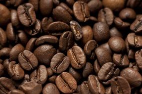 roasted brown coffee beans