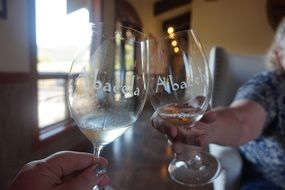 clinking wine glasses