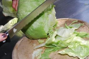 slicing cabbage for cooking salad