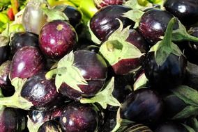 dark purple eggplants on the market